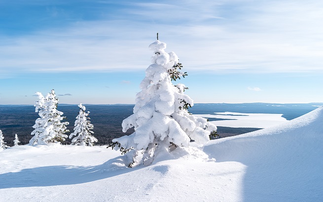 Супер интенсивная белая