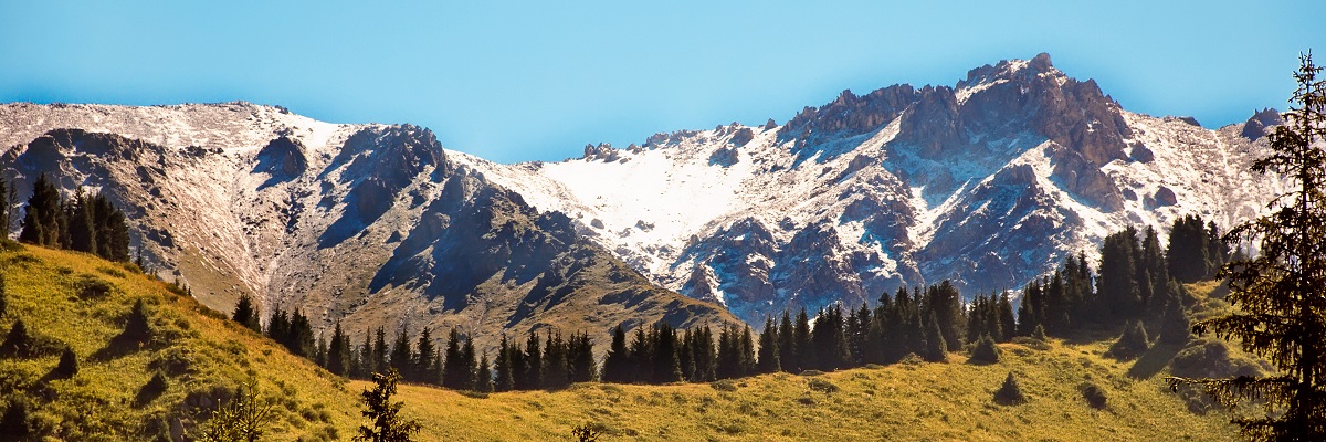 2 апреля в Алматы!